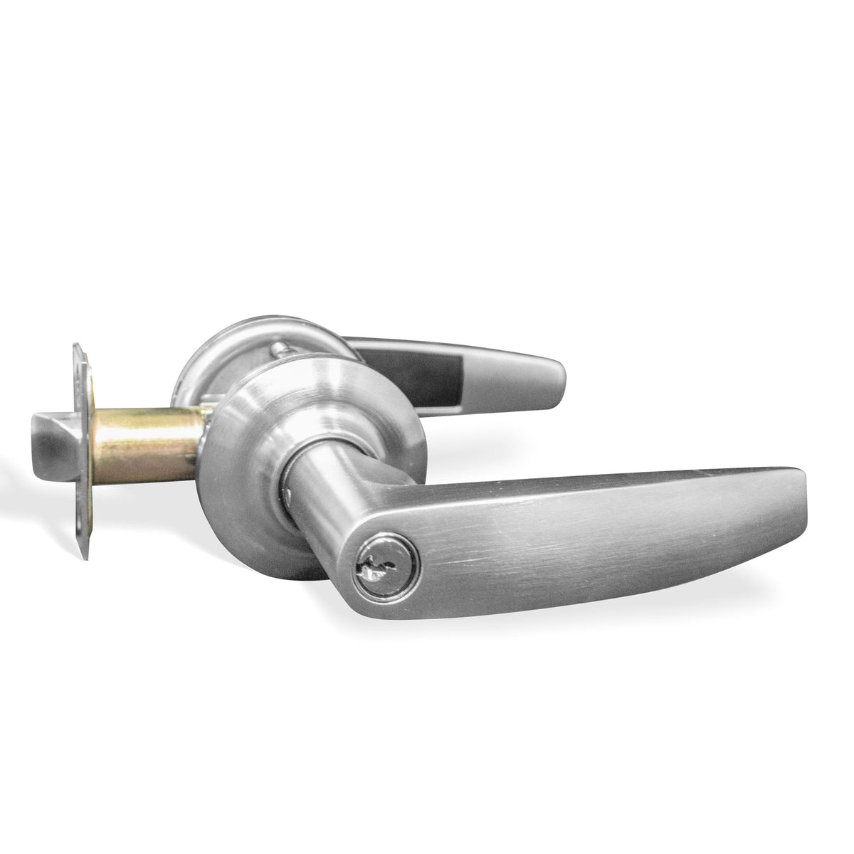 Manija Daytona Bodega